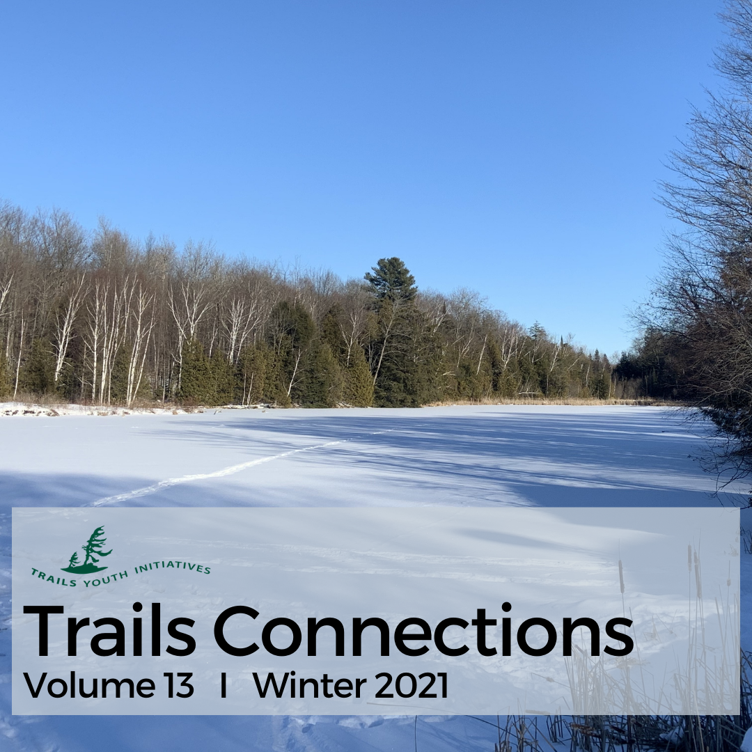 Volume 13 – Winter 2021